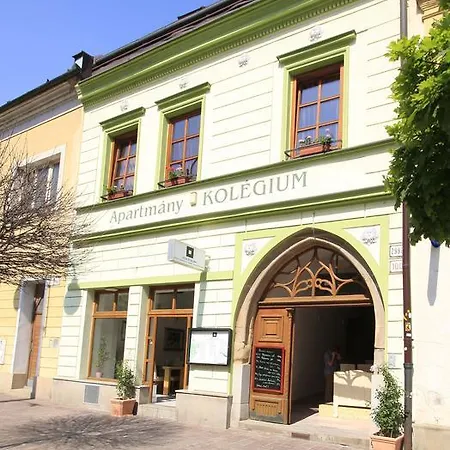 Apartment Kolegium *
